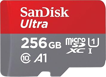 256GB MicroSD Upgrade
